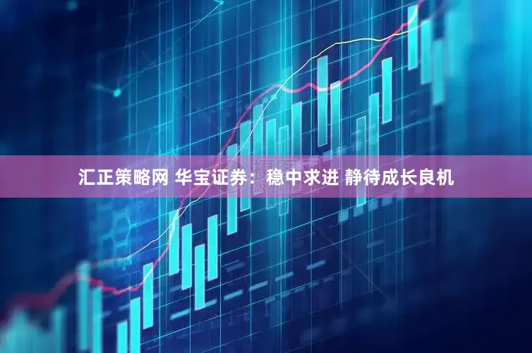 汇正策略网 华宝证券：稳中求进 静待成长良机
