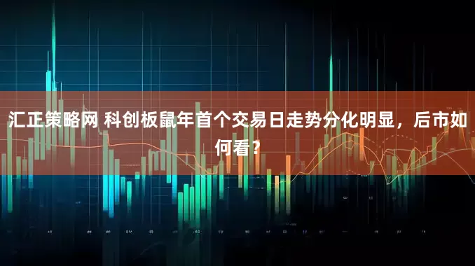 汇正策略网 科创板鼠年首个交易日走势分化明显，后市如何看？