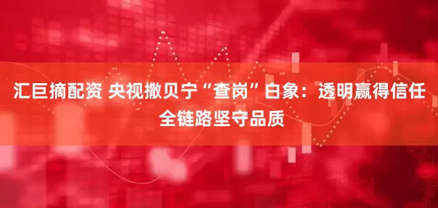 汇巨摘配资 央视撒贝宁“查岗”白象：透明赢得信任 全链路坚守品质