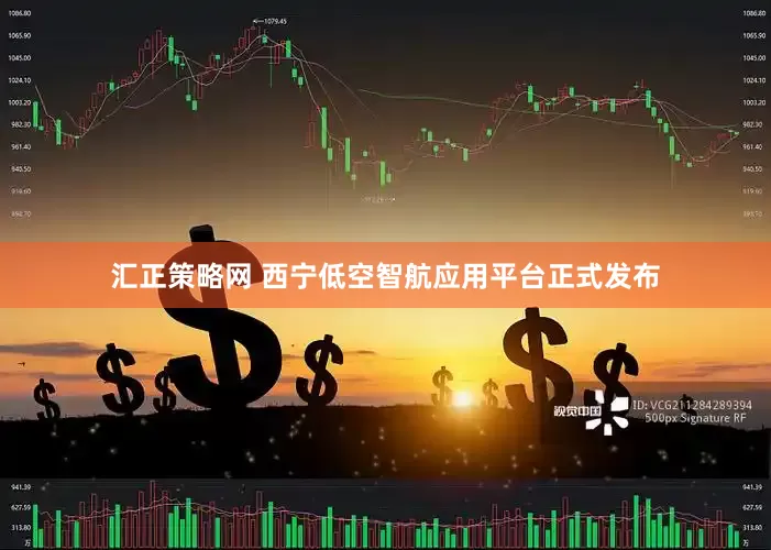 汇正策略网 西宁低空智航应用平台正式发布