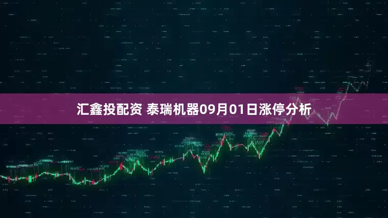 汇鑫投配资 泰瑞机器09月01日涨停分析